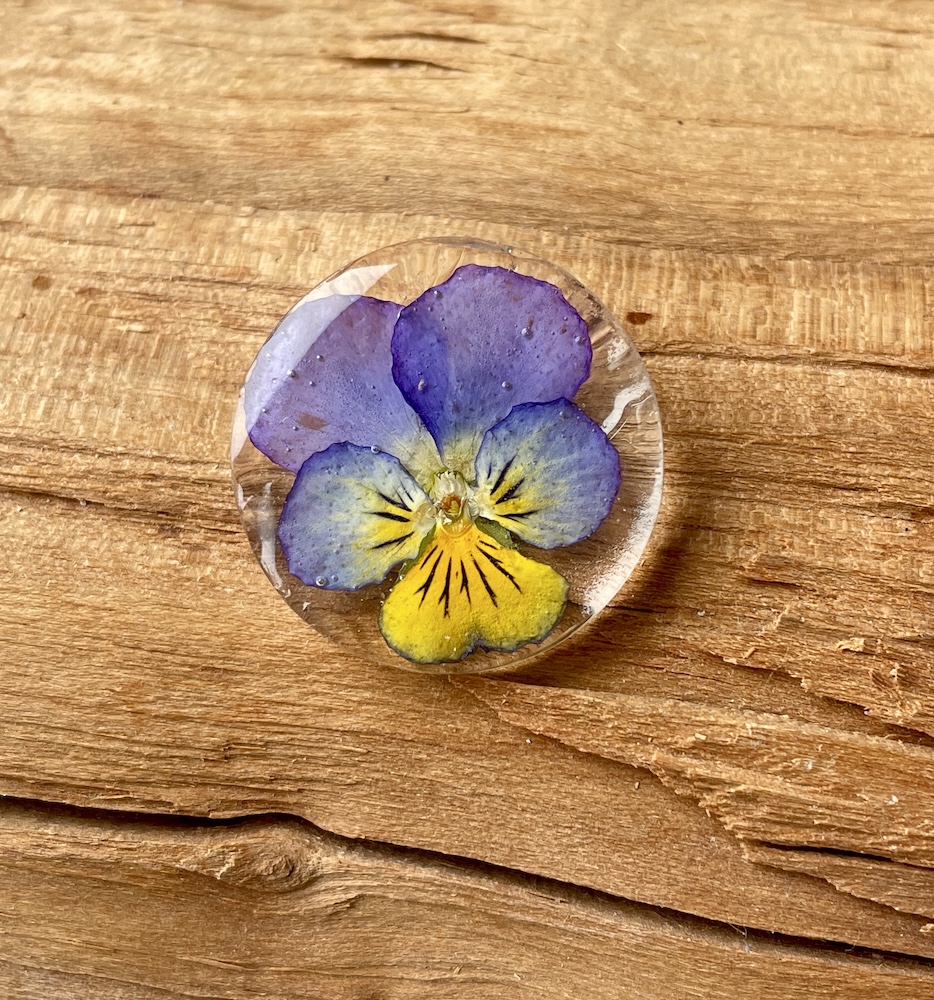 Hornviol - Broche #2639