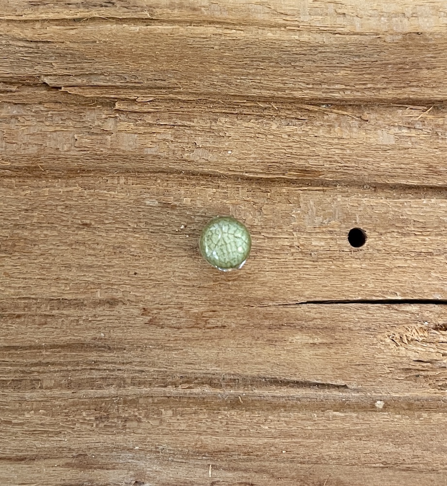 Salvie #2623 - Billede 2