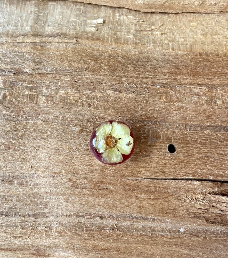 Spiræa #2634 - Billede 2