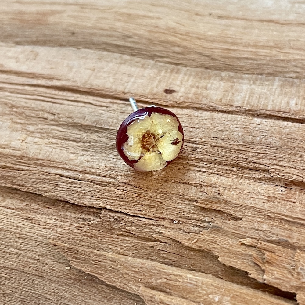 Spiræa #2634